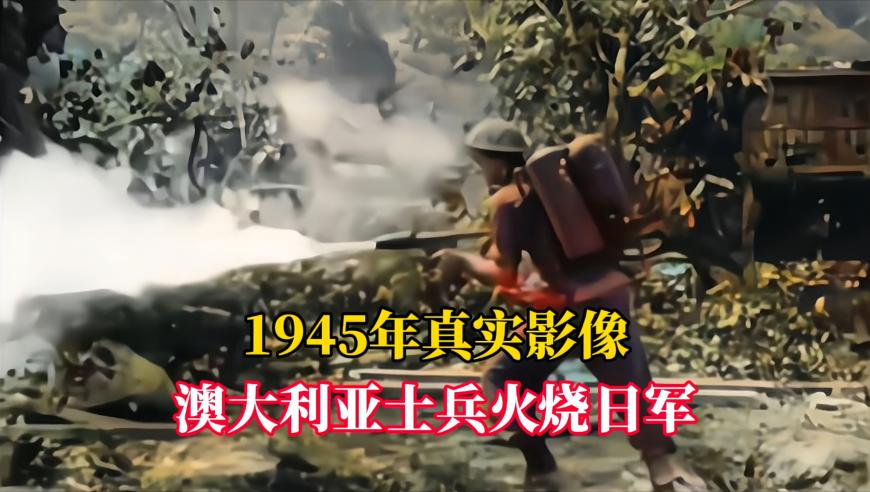 白小姐免费四不像图2025年最新版,甘肃耀龙社火直播,决策资料解释落实_基础版V2.14