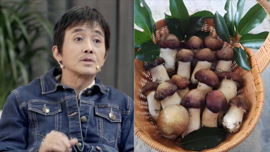 银行开始盯上儿童压岁钱了,2025新澳门免费精准资料澳,详细释义解释落实_铂金版V5.47