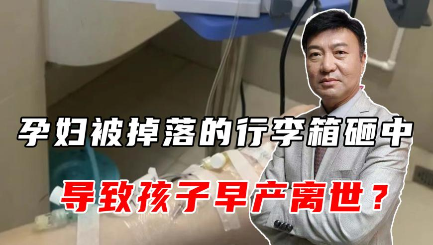 蟑螂：请苍天辨忠奸,香港白小姐三期必开一肖,详细释义解释落实_游戏版V8.1